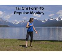 Tai Chi Form #5 Repulse Monkey