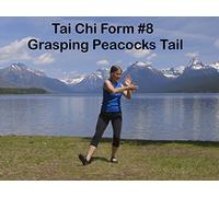 Tai Chi Form #8 Grasping Peacocks Tail.