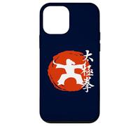 Tai Chi “Gentle” Martial Art From China Qi Gong Chinese Case for iPhone 12 mini
