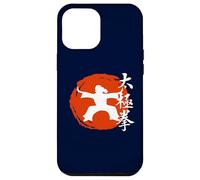 Tai Chi “Gentle” Martial Art From China Qi Gong Chinese Case for iPhone 12 Pro Max