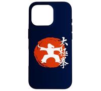 Tai Chi “Gentle” Martial Art From China Qi Gong Chinese Case for iPhone 16 Pro