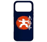 Tai Chi “Gentle” Martial Art From China Qi Gong Chinese Case for iPhone 17 Pro Max