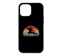 Tai Chi Instructor/Tai Chi Students/Tai Chi Sunrise Idea Case for iPhone 12 Pro Max
