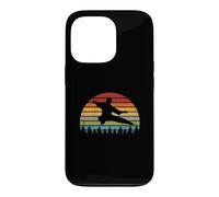 Tai Chi Instructor/Tai Chi Students/Tai Chi Sunrise Idea Case for iPhone 13 Pro