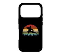 Tai Chi Instructor/Tai Chi Students/Tai Chi Sunrise Idea Case for iPhone 17 Pro