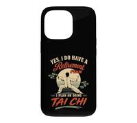Tai Chi Martial Arts Meditation Funny Design Case for iPhone 13 Pro