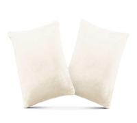 TaiBest 2 Pack Small Pillow, Memory Foam Mini Pillow 11 X 7 Inches for Travel, Sleeping, Nap and Neck, Knee, Lumbar Support, Tiny Pillow Cushion for Pet, Dogs (beige)