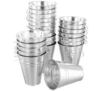 TAICHEUT 24 PCS 11.5x6.5x12.8cm Mini Metal Buckets, Small Tin Pails with Handles for Storing Flower