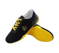 Taichi Shoes,Chinese Traditional Wushu Shoes,Qigong Trainers,Wing Chun Slipper,Tai-Chi Taekwondo Sneakers,Anti-Slip,Breathable,Wear-Resistant,for Taekwondo,Boxing,Kung Fu,Taichi Black