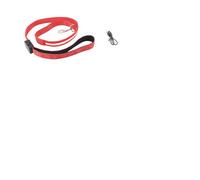 Taidda LED Pet Leash High Visibility USB Rechargeable Lighted 4FT Nylon Dog Leash for Night Walking, Comfortable Safety Glow in The Dark Pet Rope (Red)