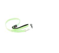 Taidda LED Pet Leash High Visibility USB Rechargeable Lighted 4FT Nylon Dog Leash for Night Walking, Comfortable Safety Glow in The Dark Pet Rope (Green)