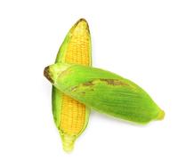 Taidda Pet Dog Plush Squeak Toy Stress Relief Chew Toy Simulation Vegetable Catnip for Cats Safe Material 12 Options for Cats and Dogs Canvas (Cat toys (short plush fabric))