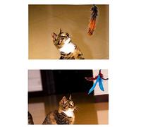 Taidda Retractable Cat Wand, Interactive Feather Teaser Toy for Cats, Lightweight Fishing Pole Design with 11 Pcs Replaceable Feathers, Safe Non Material