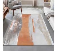 Taidianolp Area Rugs 2.6 x 4 ft,Black White Grey Abstract Modern,Orange, 80 x 120 cm,Home Decorative Entryway Rug Bathroom Floor Mat Entry Entrance