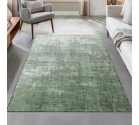 Taidianolp Area Rugs 2.6 x 4 ft,Modern Abstract Aged White Design,Green, 80 x 120 cm,Home Decorative Entryway Rug Bathroom Floor Mat Entry Entrance