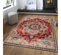 Taidianolp Area Rugs Living Room,red,90 x 150 cm,Multicoloured Red Blue Orange, Beige, Flax Fibre Grey, Floral Medallion Pattern,3ft x 5ft Small Rugs for Bedroom Aesthetic Decorations,