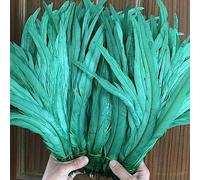 Tail Feather Ribbon, Fringe,100PCS Raw Feathers Tails Plumes Decorations Home Craft Wedding Party Centerpieces Accessories(Deep Green)