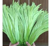 Tail Feather Ribbon, Fringe,100PCS Raw Feathers Tails Plumes Decorations Home Craft Wedding Party Centerpieces Accessories(Apple Green)