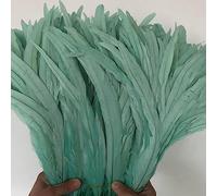 Tail Feather Ribbon, Fringe,100PCS Raw Feathers Tails Plumes Decorations Home Craft Wedding Party Centerpieces Accessories(Mint Green)