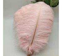 Tail Feather Ribbon, Fringe,5Pcs Feathers for Crafts Carnival Costumes Party Home Wedding Decorations Plumes(A9)