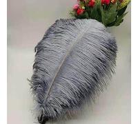 Tail Feather Ribbon, Fringe,5Pcs Feathers for Crafts Carnival Costumes Party Home Wedding Decorations Plumes(A12)