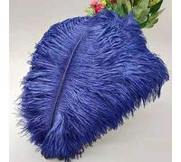 Tail Feather Ribbon, Fringe,5Pcs Feathers for Crafts Carnival Costumes Party Home Wedding Decorations Plumes(A10)