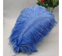 Tail Feather Ribbon, Fringe,5Pcs Feathers for Crafts Carnival Costumes Party Home Wedding Decorations Plumes(A11)