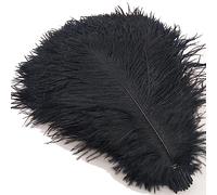 Tail Feather Ribbon, Fringe,5Pcs Feathers for Crafts Carnival Costumes Party Home Wedding Decorations Plumes(A2)