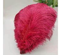 Tail Feather Ribbon, Fringe,5Pcs Feathers for Crafts Carnival Costumes Party Home Wedding Decorations Plumes(A4)