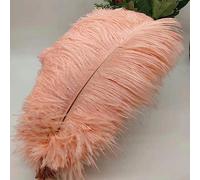 Tail Feather Ribbon, Fringe,5Pcs Feathers for Crafts Carnival Costumes Party Home Wedding Decorations Plumes(A5)