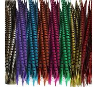 Tail Feather Ribbon, Fringe,5Pcs/Lot Lady Feathers for Crafts for Decoration Party Carnival Accessories(Multicolor)