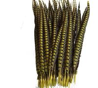 Tail Feather Ribbon, Fringe,5Pcs/Lot Lady Feathers for Crafts for Decoration Party Carnival Accessories(Yellow)