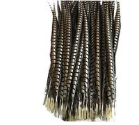 Tail Feather Ribbon, Fringe,5Pcs/Lot Lady Feathers for Crafts for Decoration Party Carnival Accessories(Natural)