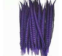 Tail Feather Ribbon, Fringe,5Pcs/Lot Lady Feathers for Crafts for Decoration Party Carnival Accessories(Purple)