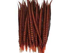 Tail Feather Ribbon, Fringe,5Pcs/Lot Lady Feathers for Crafts for Decoration Party Carnival Accessories(Orange)