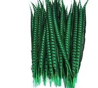 Tail Feather Ribbon, Fringe,5Pcs/Lot Lady Feathers for Crafts for Decoration Party Carnival Accessories(Green)