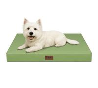 Tail Stories Dog Bed for Small Dogs and Cats Outdoor Waterproof Orthopedic Foam Egg Cup with Washable and Removable Oxford Cover, Light Green