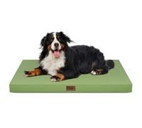 Tail Stories Extra Large Dog Cage Bed, Large Waterproof Dog Bed for Large Dogs, Orthopedic Egg Foam Pet Bed with Removable Cooling Cover, Light Green
