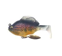 Tail Swimbaits Fishing Rigged Soft With 3D Eyes Weedless Hidden Hook For Trout Freshwater Saltwater Gear Baitcaster Rod And Reel Combo Telescopic (C, A)