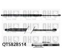 Tailgate/Boot Gas StrutFor Ford MONDEO 14- 1891212