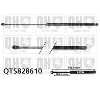 Tailgate/Boot Gas StrutFor Nissan JUKE 10-19 90450-1KA0A