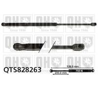 QUINTON HAZELL QTS828263 Tailgate strut