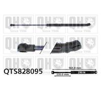 QUINTON HAZELL QTS828095 Tailgate strut