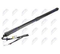 Tailgate Electrical Motor NTY Fits CITROEN C4 Picasso II 13-18 9812129780
