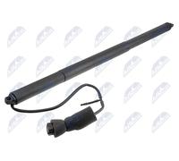 NTY AE-WW-116 Electrical motor, tailgate