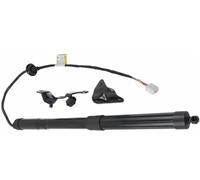 Tailgate Gas Strut Spring 6891009010 6892009010 1 Pair Car Parts Electric Tailgate Gas Lift Strut For TOYOTA For RAV4 2013-2018 RH LH # 6891009010 Trunk Strut Lifting Rod Damper(Right 6891009110)