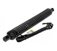 Tailgate lifting motor both sides Electric AE-BM-089 NTY for BMW 5
