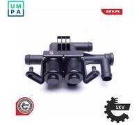 ESEN SKV 16SKV095 Tailgate Lock
