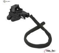 BLIC 6010-02-0815449P Tailgate lock