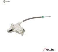 BLIC 6010-02-0817449P Tailgate lock